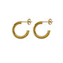 Abi Gold Earring